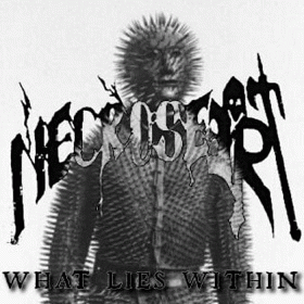 Necroseer : What Lies Within